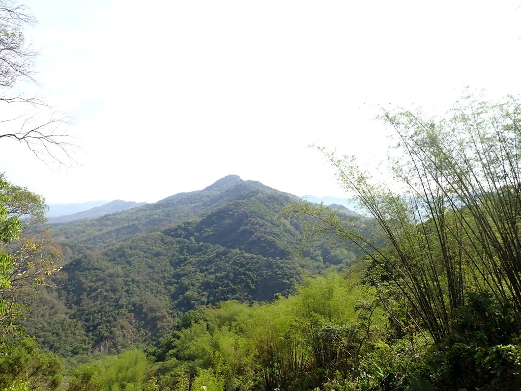 南化烏山步道-風空子山202404