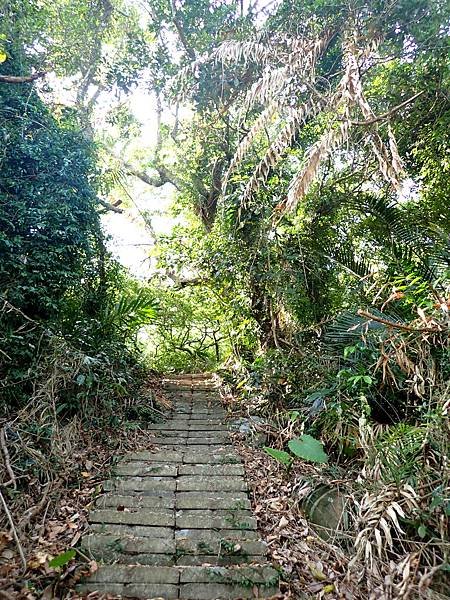 南化烏山步道-風空子山202404