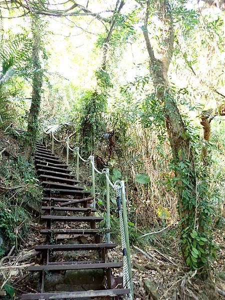 南化烏山步道-風空子山202404