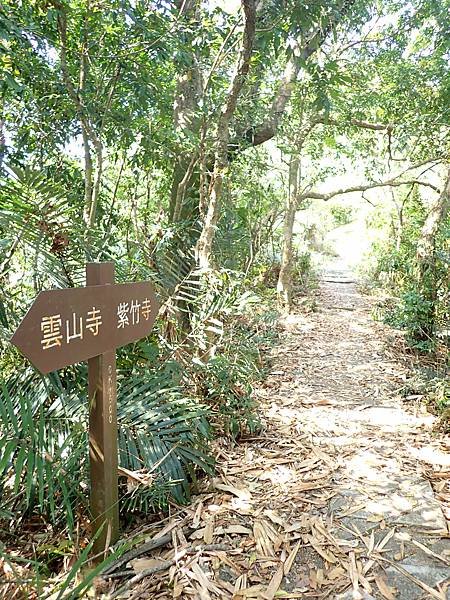 南化烏山步道-風空子山202404