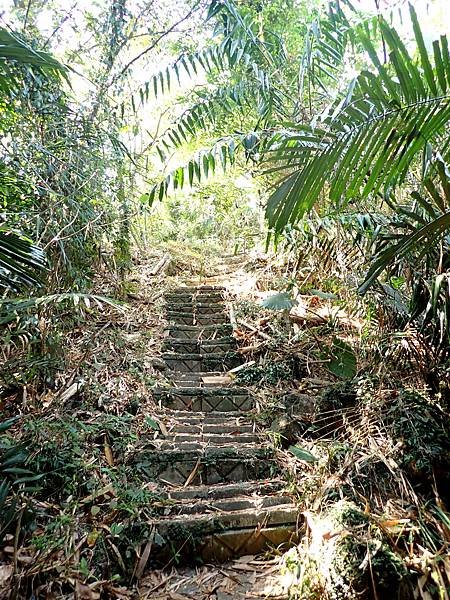 南化烏山步道-風空子山202404