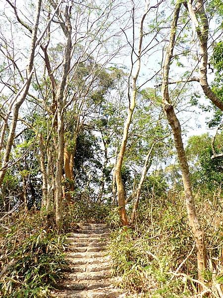 南化烏山步道-風空子山202404