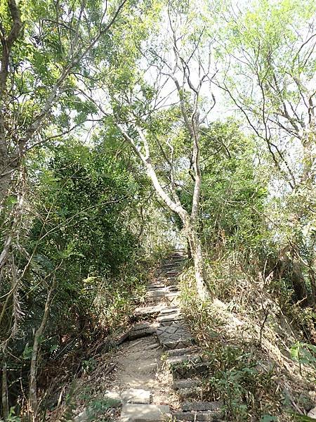 南化烏山步道-風空子山202404