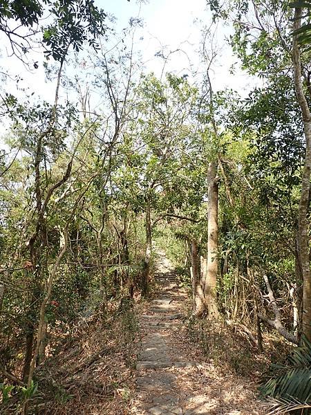 南化烏山步道-風空子山202404