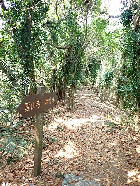 南化烏山步道-風空子山202404