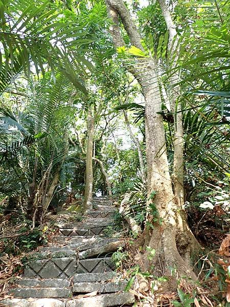 南化烏山步道-風空子山202404