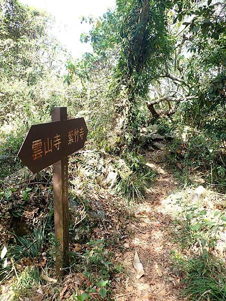 南化烏山步道-風空子山202404