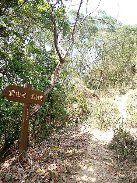 南化烏山步道-風空子山202404