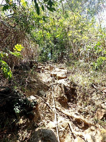 南化烏山步道-風空子山202404