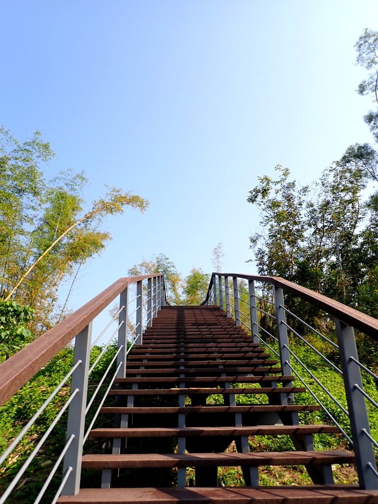 350高地+阿凰臘森林步道 202502