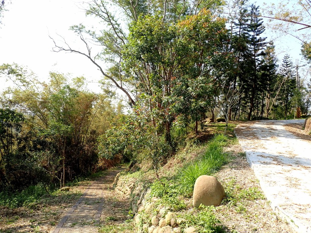 350高地+阿凰臘森林步道 202502