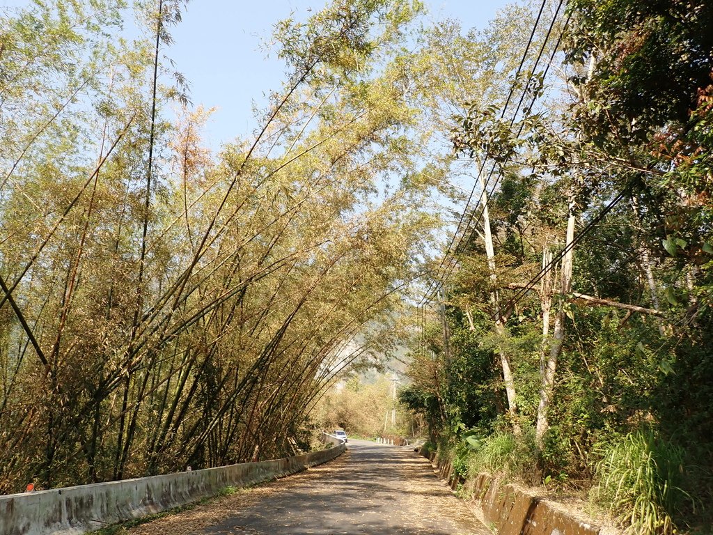 350高地+阿凰臘森林步道 202502