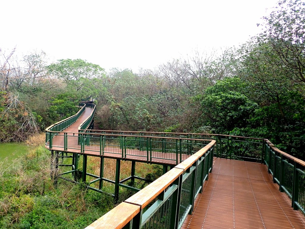 二崙自然步道+四番地生態水岸園區20250131
