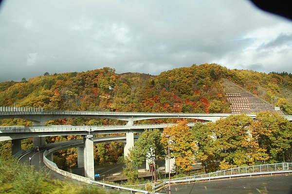 IMG_7618.JPG