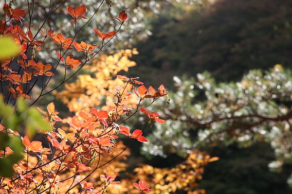 IMG_8346.JPG