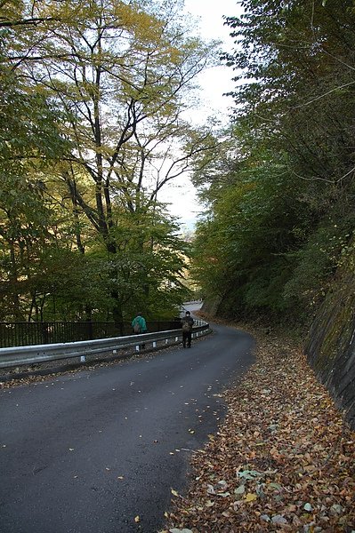 IMG_8312.JPG