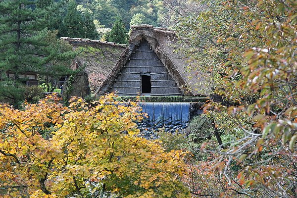 IMG_7651.JPG