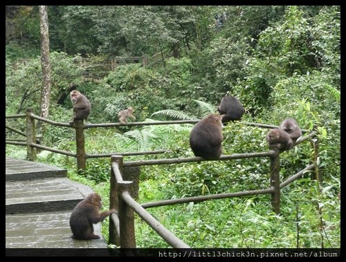 20101002_095338_SiChuanMtEmei