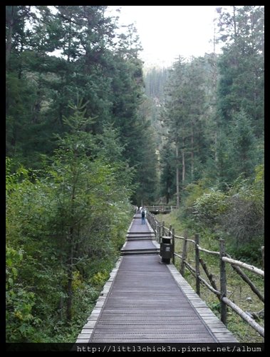 20101008_081314_SiChuanJiuZhaiGou