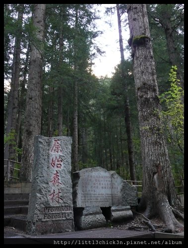 20101008_081747_SiChuanJiuZhaiGou