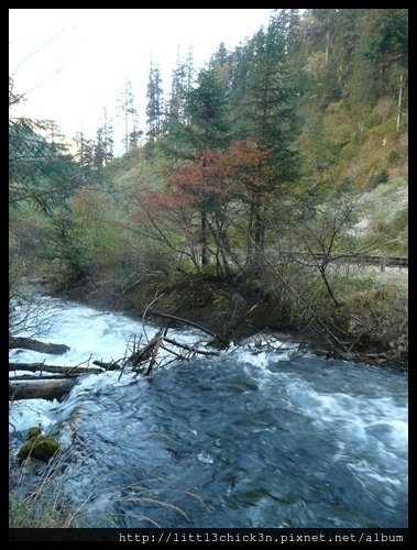 20101008_091505_SiChuanJiuZhaiGou