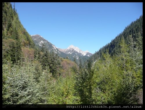 20101008_103615_SiChuanJiuZhaiGou