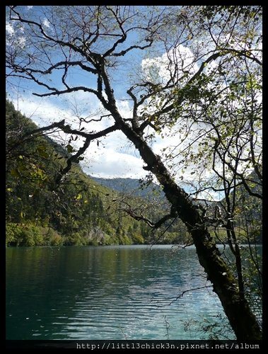 20101008_145625_SiChuanJiuZhaiGou