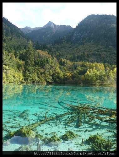 20101008_162248_SiChuanJiuZhaiGou