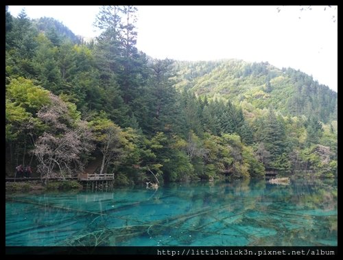 20101008_162814_SiChuanJiuZhaiGou