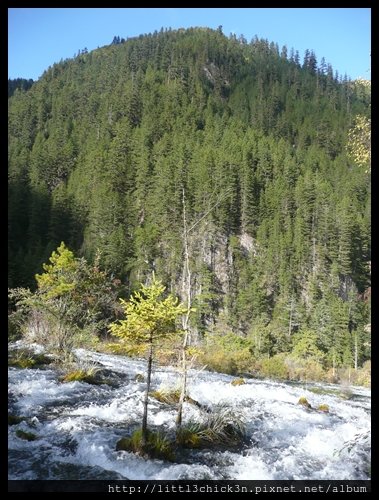 20101008_163807_SiChuanJiuZhaiGou