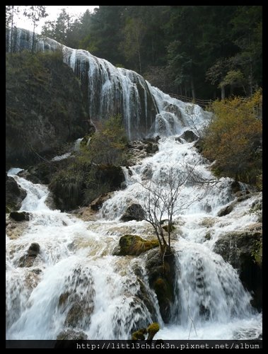 20101008_165506_SiChuanJiuZhaiGou