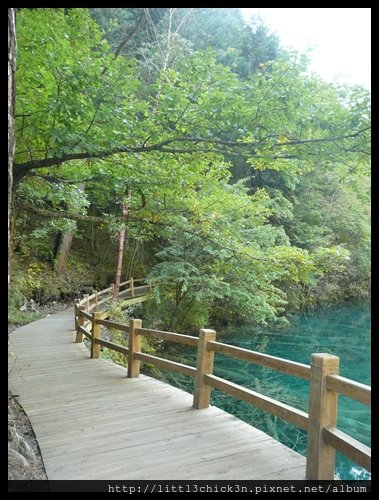 20101009_092000_SiChuanJiuZhaiGou