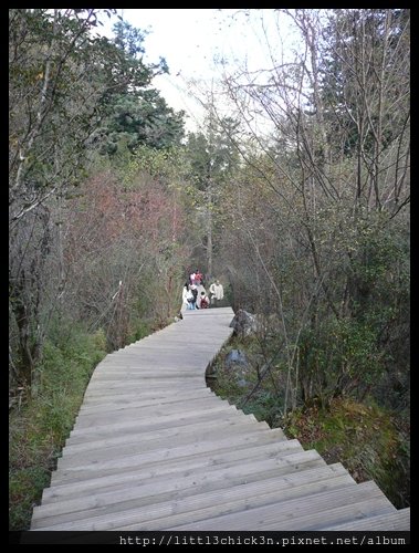 20101009_104227_SiChuanJiuZhaiGou