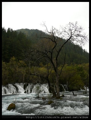 20101009_162047_SiChuanJiuZhaiGou