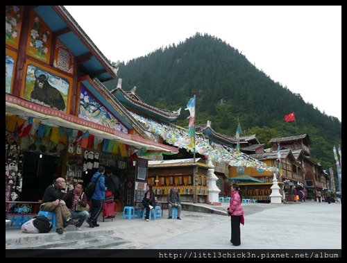 20101009_165142_SiChuanJiuZhaiGou