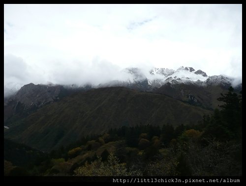 20101010_104201_SiChuanHuangLong