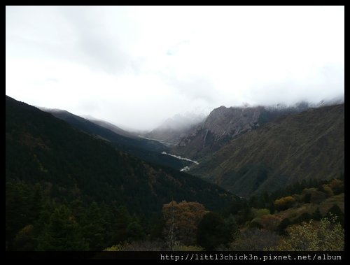 20101010_104209_SiChuanHuangLong