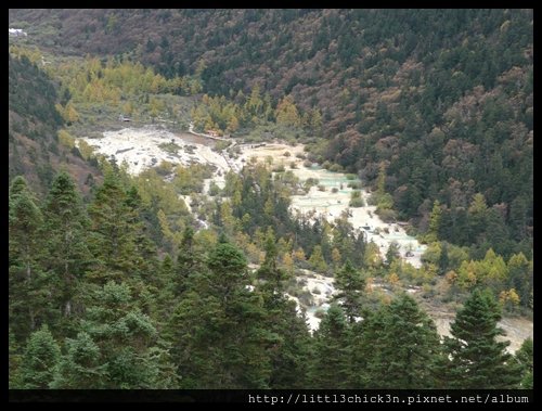 20101010_104309_SiChuanHuangLong