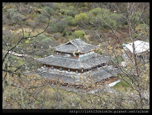 20101010_111118_SiChuanHuangLong