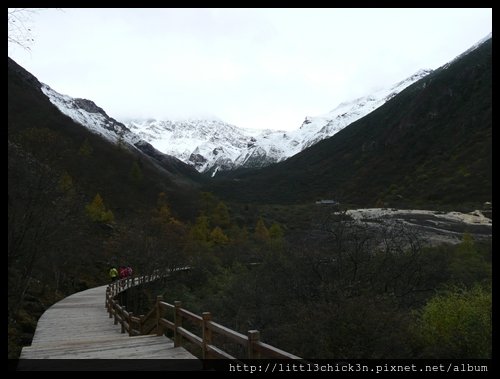 20101010_112145_SiChuanHuangLong