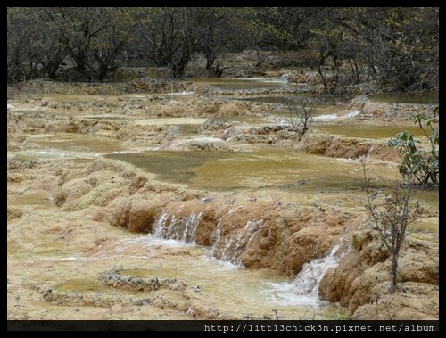 20101010_113602_SiChuanHuangLong