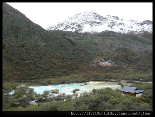 20101010_121543_SiChuanHuangLong