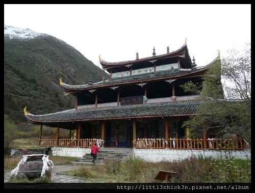 20101010_123824_SiChuanHuangLong