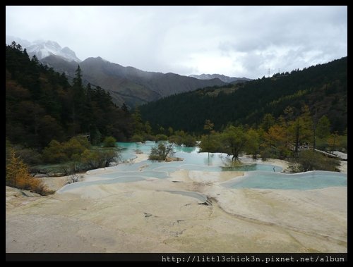 20101010_125838_SiChuanHuangLong