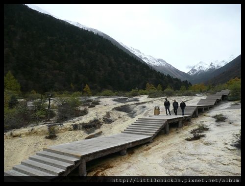 20101010_130732_SiChuanHuangLong