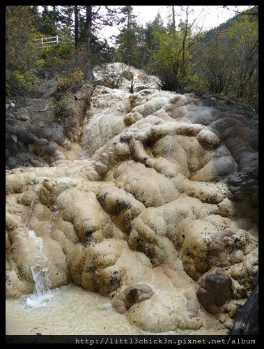 20101010_140249_SiChuanHuangLong