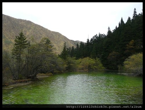 20101010_140546_SiChuanHuangLong