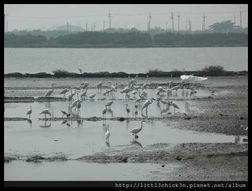 20101017_110304_TaiwanTainan
