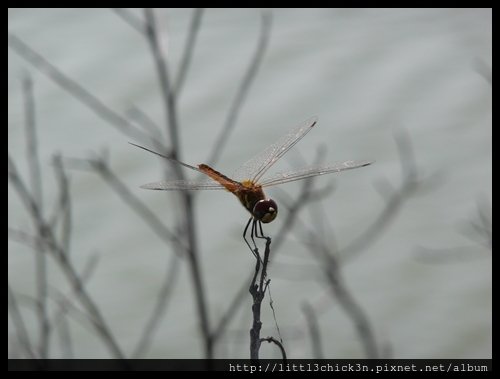 20101017_110715_TaiwanTainan