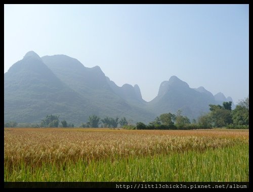 20101102_123918_GuangXiYangShuo.JPG